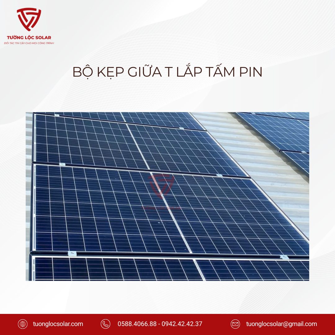 KẸP GIỮA T